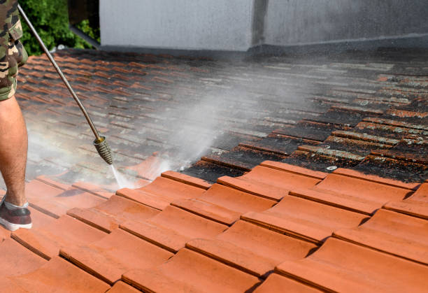 Best Concrete Pressure Washing  in Evansdale, IA