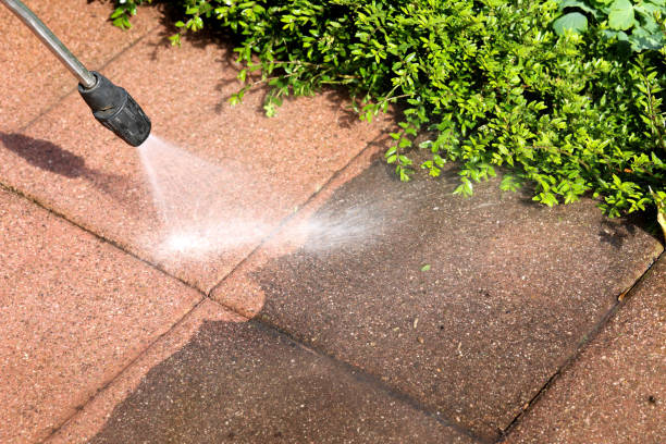Best Deck Cleaning Services  in Evansdale, IA